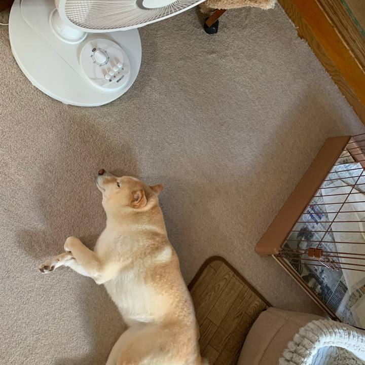 9dc720cf f315 4c9a 8889 a7d566d35206 1655447803824