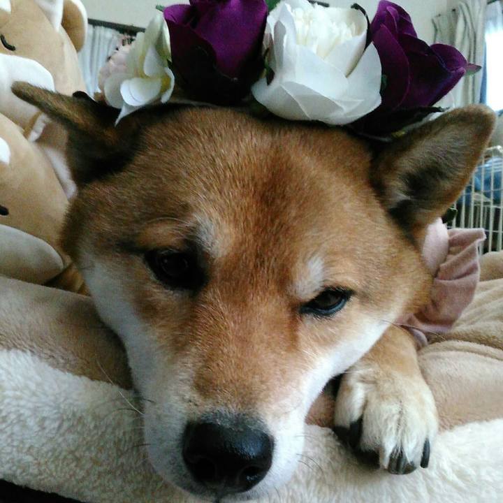 9dc72589 cf17 4e59 bd58 53eacf44eb42 1518518745861