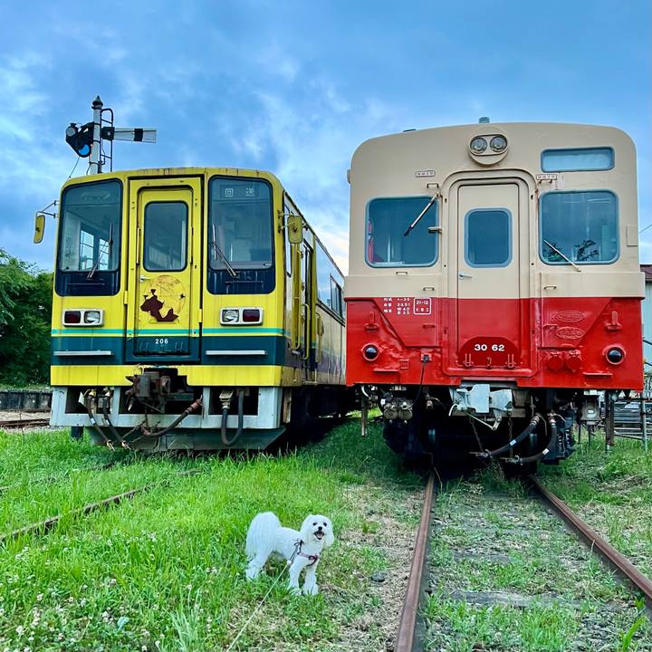 9dc734de 68dc 4db4 943a e9a81bc897c1 1657682386531