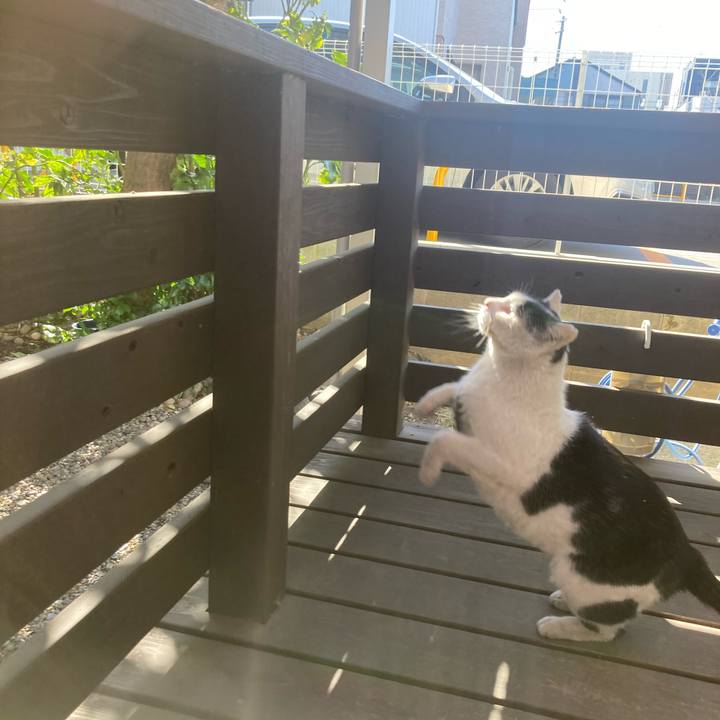 9dc7b5c5 b581 4a51 961d 3f9c5d74f81d 1772954622680