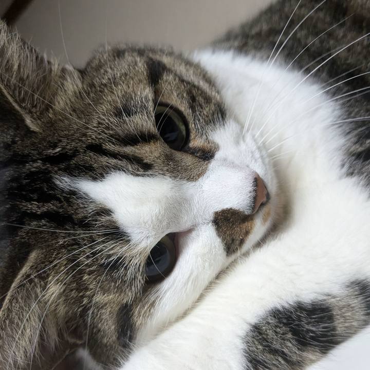 9dc7b67b eb26 4add 8fbd cf70c9ea00cb 1724421025151