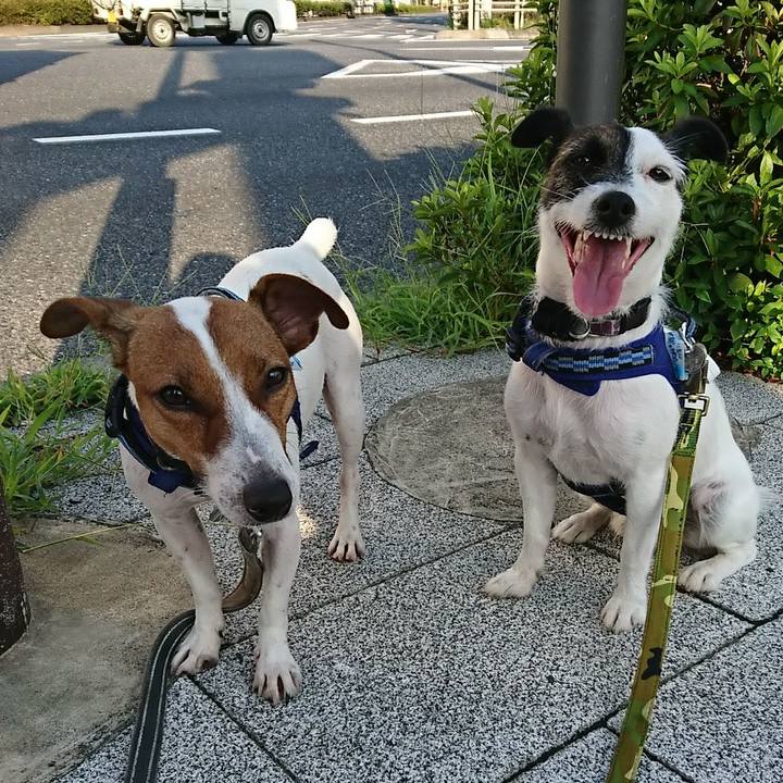 9dc83272 6412 4941 9b9c 4bc6b21fd640 1533074878682