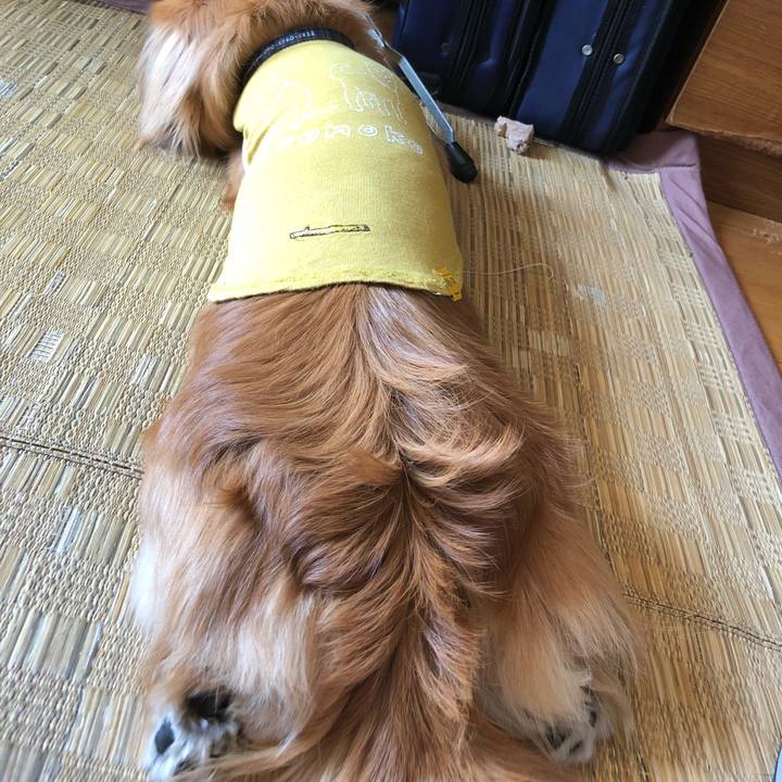 9dc8783b 5ee0 4694 9c5b 287c3f02c36b 1524364582301