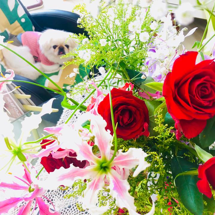 9dc89280 72f0 4df1 ab6b 1aad985af4c2 1571801605170