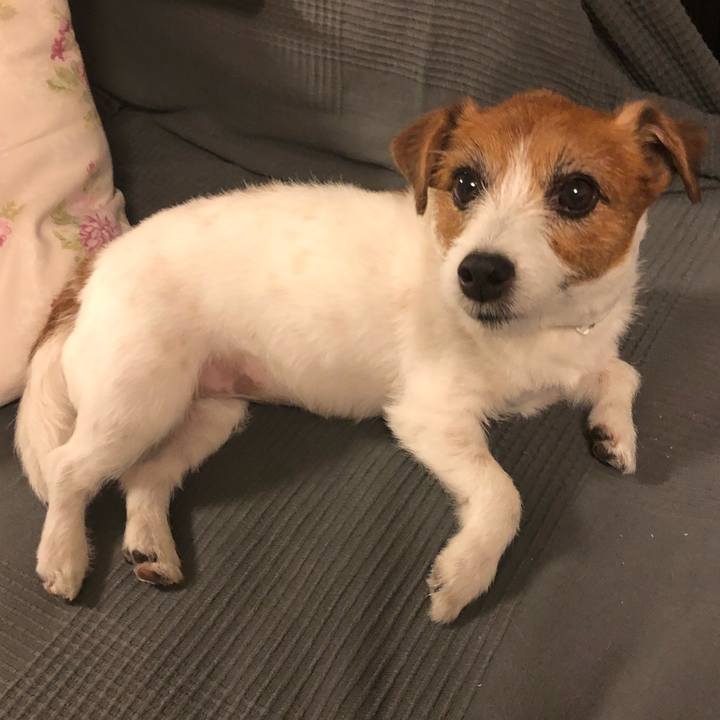 9dc9161c 4fa7 4649 8d8a f5155861e626 1590234309622