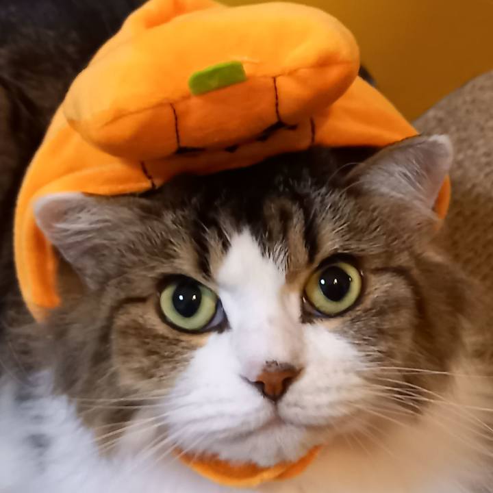 9dc943b8 5db9 4719 a6c7 a88b2c98ae81 1604109395999