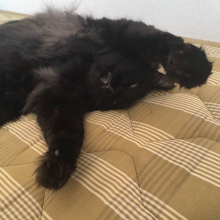 9dc9e34f 98cb 4885 aaa6 c544377c8174 1534588228197