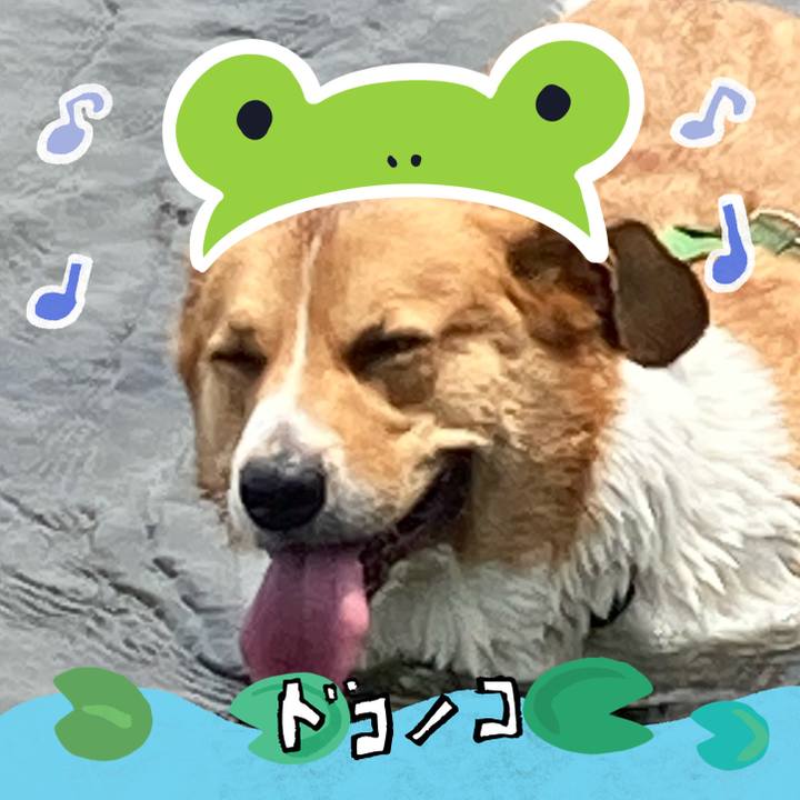 9dc9e7b2 2132 426e ac23 b875386e253a 1718238201146