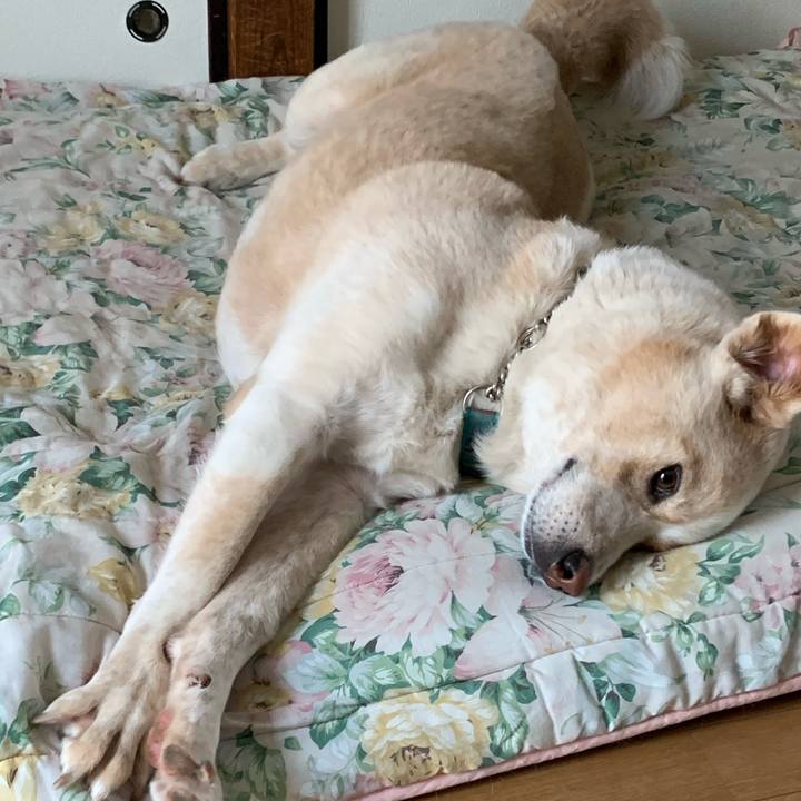 9dca075e 939d 407a 8db7 bfa44f2448b9 1564705974467