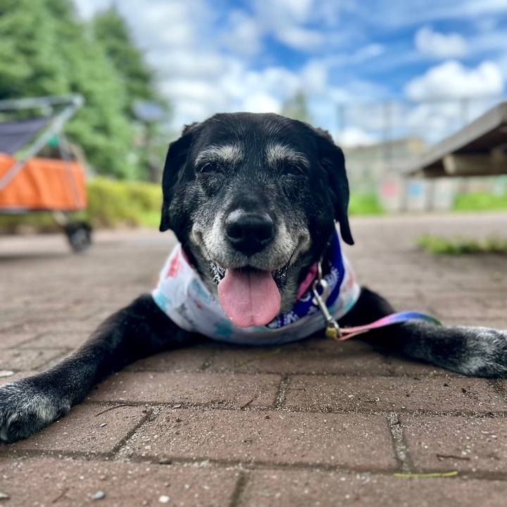 9dca25bc 8de0 4af8 97f6 5f637574dffe 1725185612401