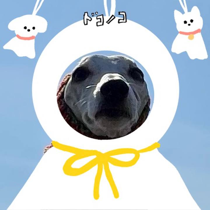 9dca33cb ba6f 4ebb b77d 319eb9acd041 1781598640284