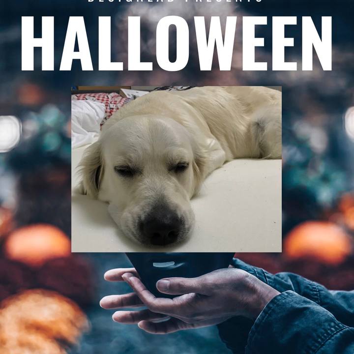 9dca5e28 0aad 4ae8 9a61 eb76e9f91838 1509252945760