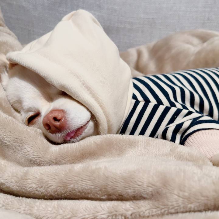 9dca74a1 0b1b 4b1d bbe5 5e9127bcf36d 1706099568882