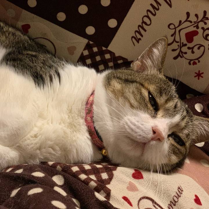 9dcaee93 a81d 4d8d a926 691e144473fa 1681018261432