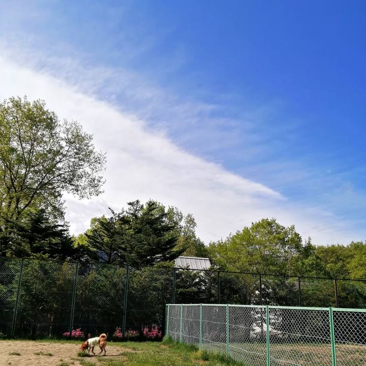 9dcb1d52 cabb 4e05 93ca ab08b3ecc2de 1621678552825