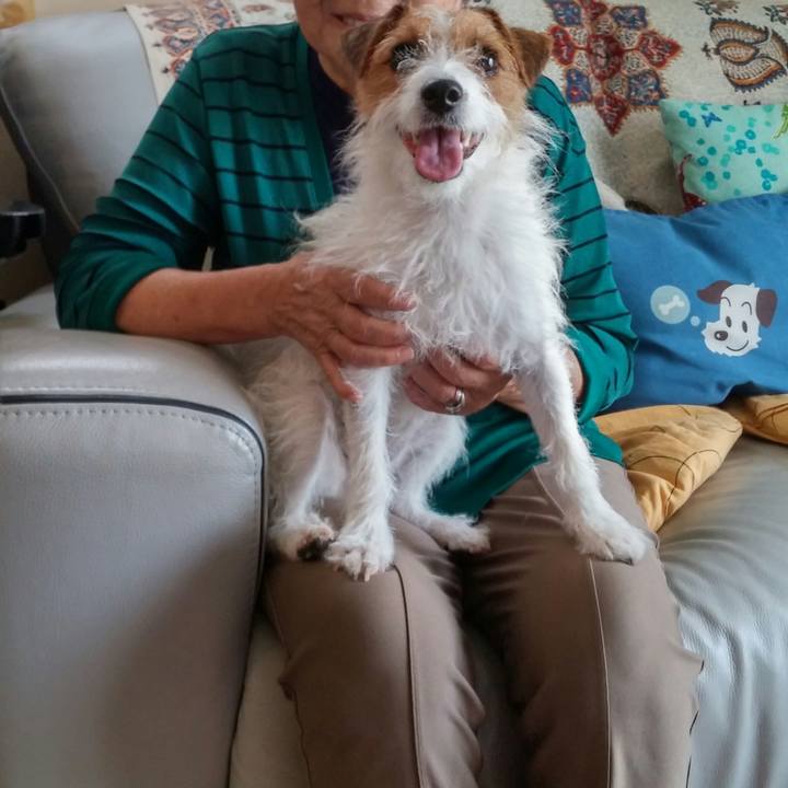 9dcb8b6d 54f3 4cdd bbce 727990dc3142 1537139689889