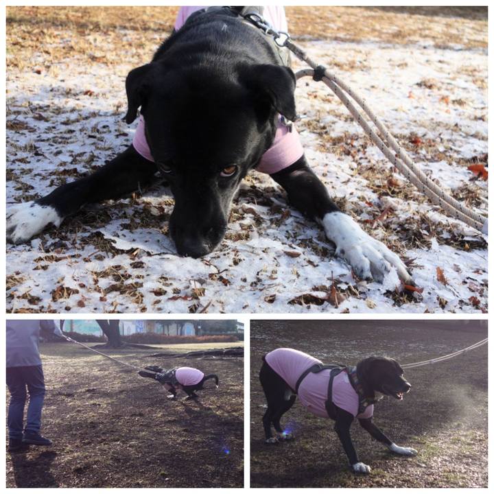 9dcb8e0b c089 47a4 a6e9 aa918c8e018a 1644544260489