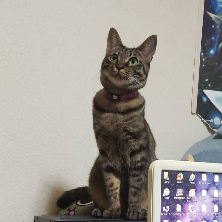 9dcb9799 c2c4 46d4 a0ab 4a632a60be80 1562849933230