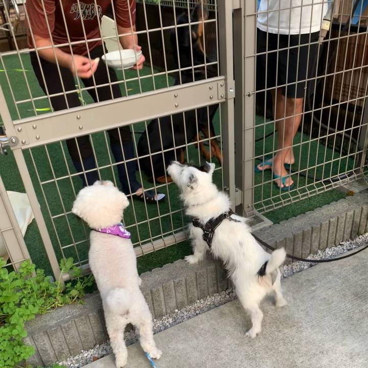 9dcb9b9b 4889 4fb1 bb13 335d9ac2ce13 1726390583487