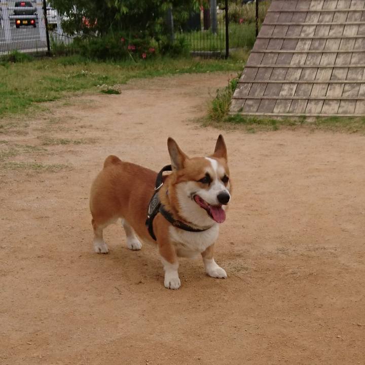 9dcb9e1a cf81 4692 8f2e 4df27159022c 1620764605357