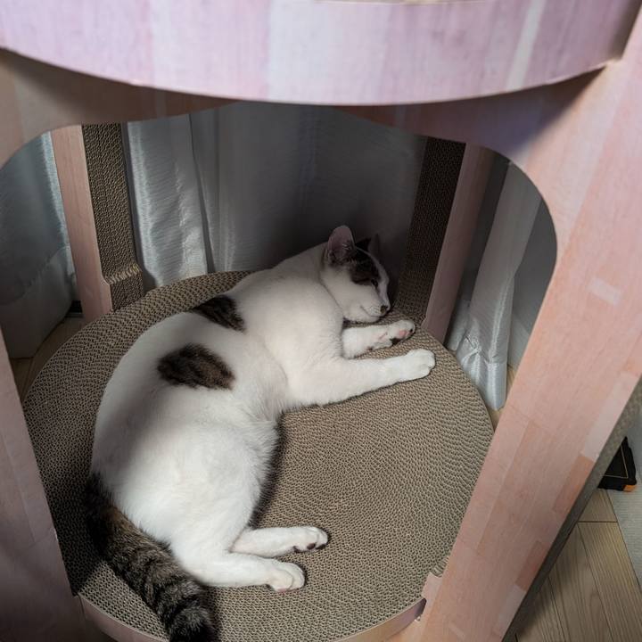 9dcbb5aa 77a4 43c9 9f2e 5c89e5d70d32 1720093433294