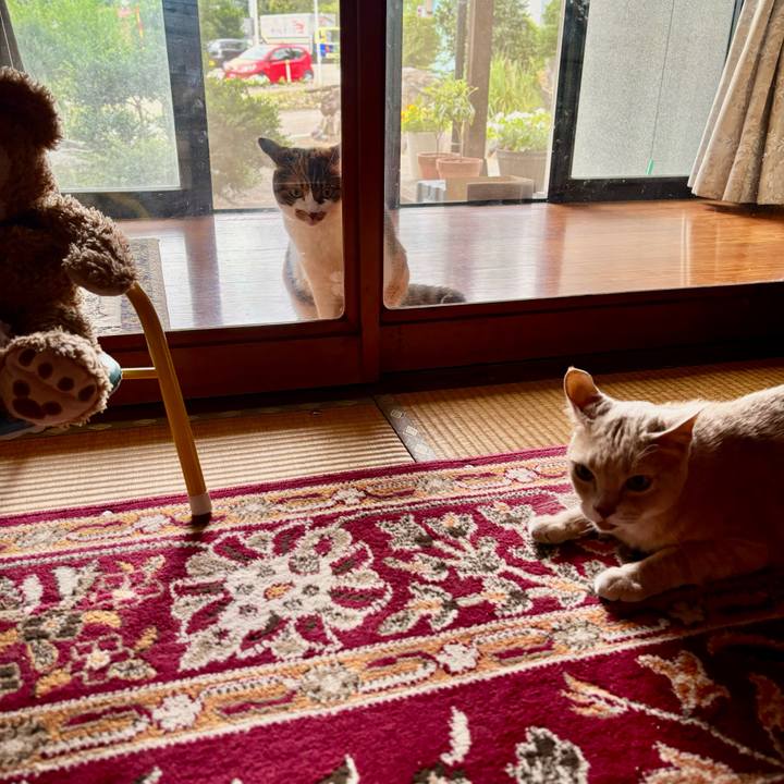 9dcbba4a 16b4 4b61 9514 52aa708d07db 1726616890172