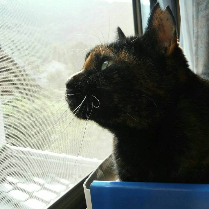 9dcbfbbc 88b8 46b1 8c86 1931bb0fc058 1570491226761