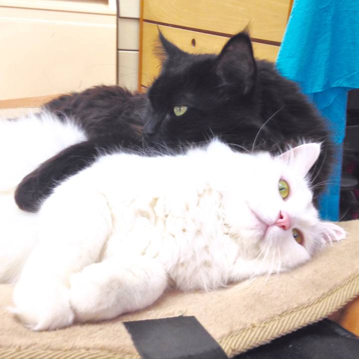 9dcc01a0 9322 4b84 8b94 daba208a0a32 1523059819928