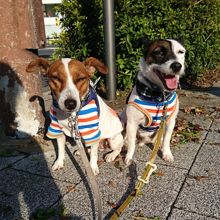 9dcc05a8 a93d 4a5b 8f5c be0b595eff30 1599258155022