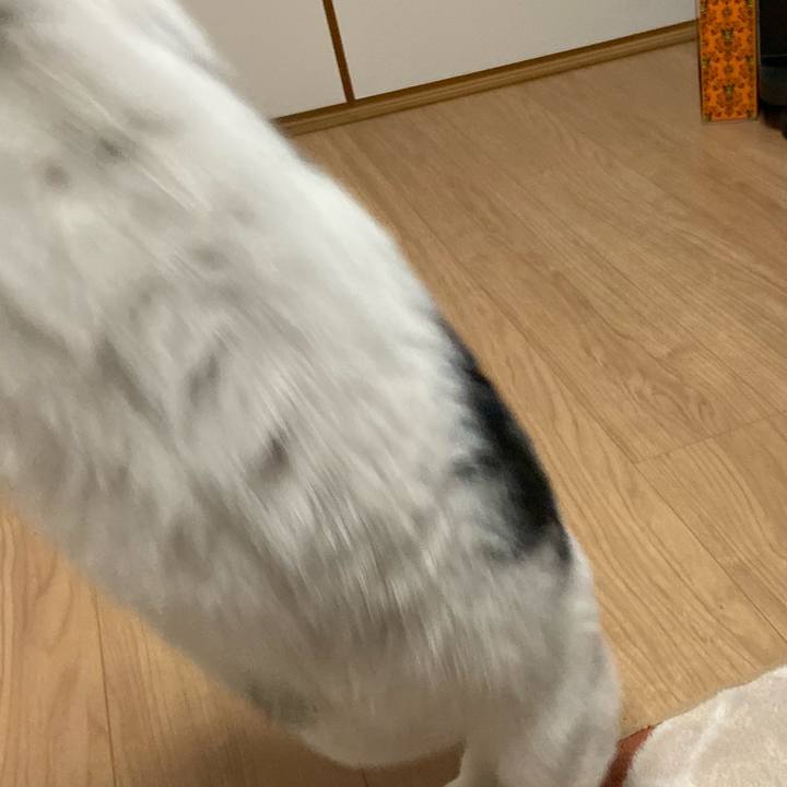 9dcc40bd b10b 44ce b534 9e1ba57ebc07 1575024787878