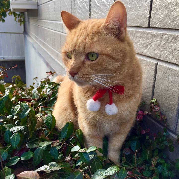 9dcc4740 d1fc 477b b3c0 cadcd3bbcf2e 1615093222357