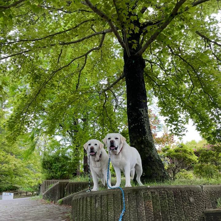 9dcc4e48 9fd6 4e73 91e9 e5398583f5f5 1764222696497