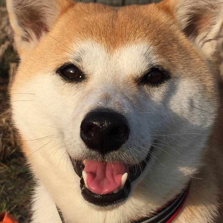 9dcc9517 fc8b 4df1 b3ad 6776055b3207 1516332690600