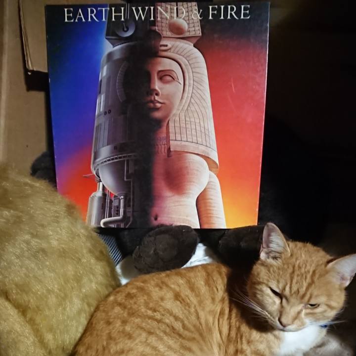 9dcc9a3b 5621 45ab 931d fc8abb6759ee 1603713894796