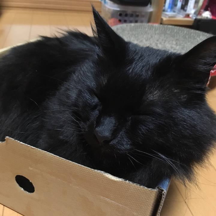 9dcccb43 ae80 4fa9 9d30 313b23364924 1556417522512