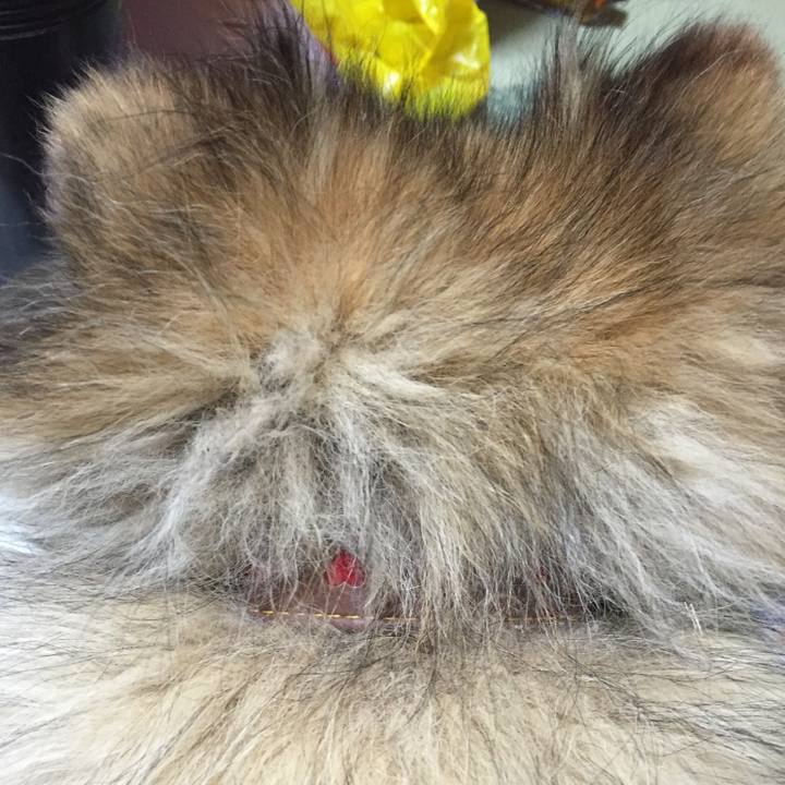 9dcce06d dd85 45e8 a2a4 61535bd7646e 1603669929359