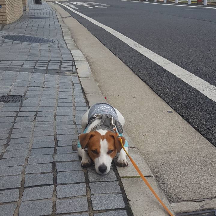 9dcd1887 71d8 4c61 bff0 b419ca846c0b 1573697904744