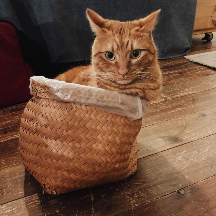 9dcd253a ebc2 47f9 b484 75c9e302b511 1763447663512