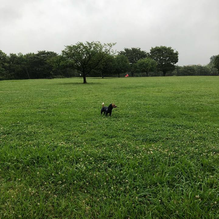 9dcd2aef b5e9 4a83 beac f8eb29fc7a48 1561329632349