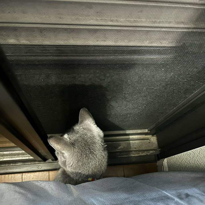 9dcd6089 90ed 4a31 9a97 7087d2d21e50 1736311256897