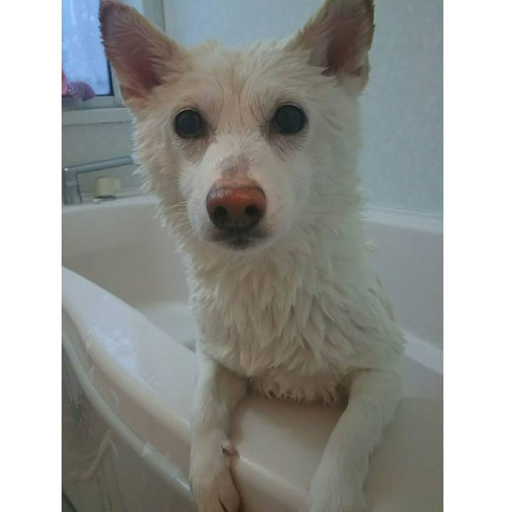 9dcd623a 3e87 4f81 94a4 d871dab1a053 1580547219825