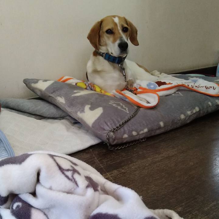 9dcd9d85 5805 4908 9f63 c08e522ca9aa 1618063600960