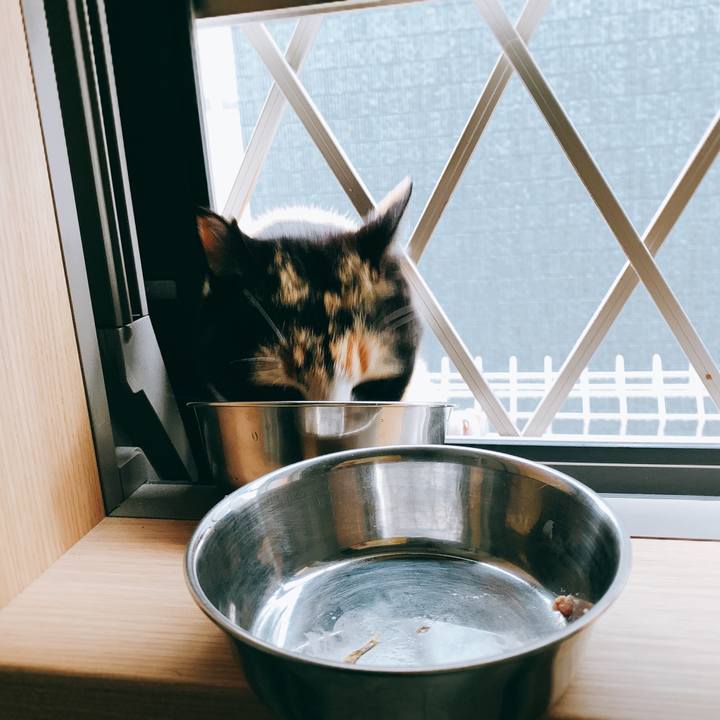 9dcdbca4 cc33 4f6f 90b9 61b7f2af8f00 1554863285080