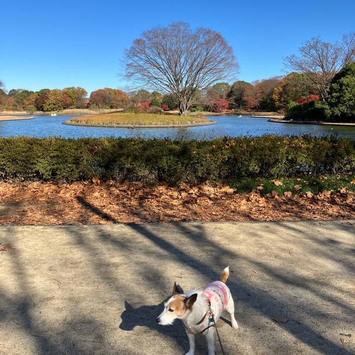 9dcddb03 f741 4662 82ed 39b8f560da0f 1669677510732