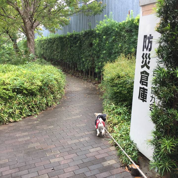 9dce0b1b 493c 4eed a91c f99f331d47f8 1538207058824