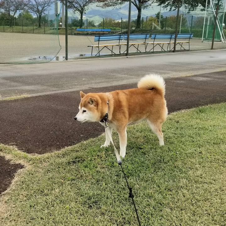 9dce2871 35fa 459f 9bf4 ce6c26c22021 1634965595708