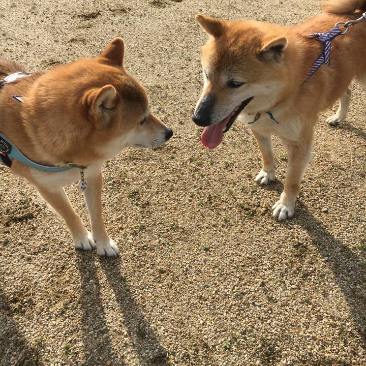 9dce7fa8 ec7d 47f6 b56e 3e0608dbf535 1573995857449