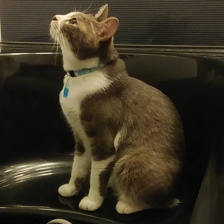 9dceae94 f736 437a a3d3 56f88b7ffe72 1591536899863