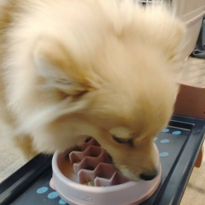 9dcec50e 6cde 4dc6 9798 0327ba3709ce 1736584556854