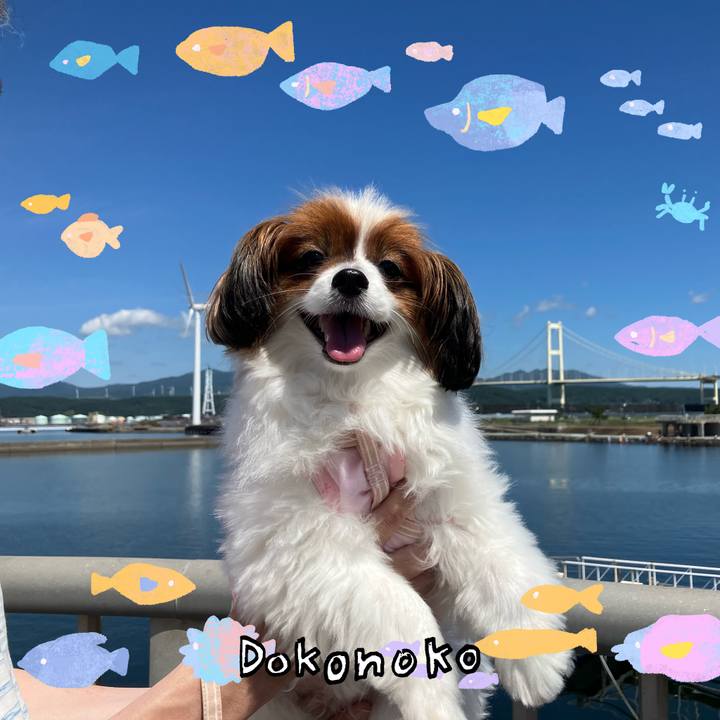 9dced5f8 7abb 48a4 8e9e 21c8ba18e0c6 1755315029624